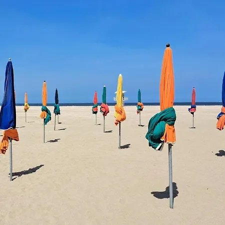 Neat Between Deauville And Cabourg